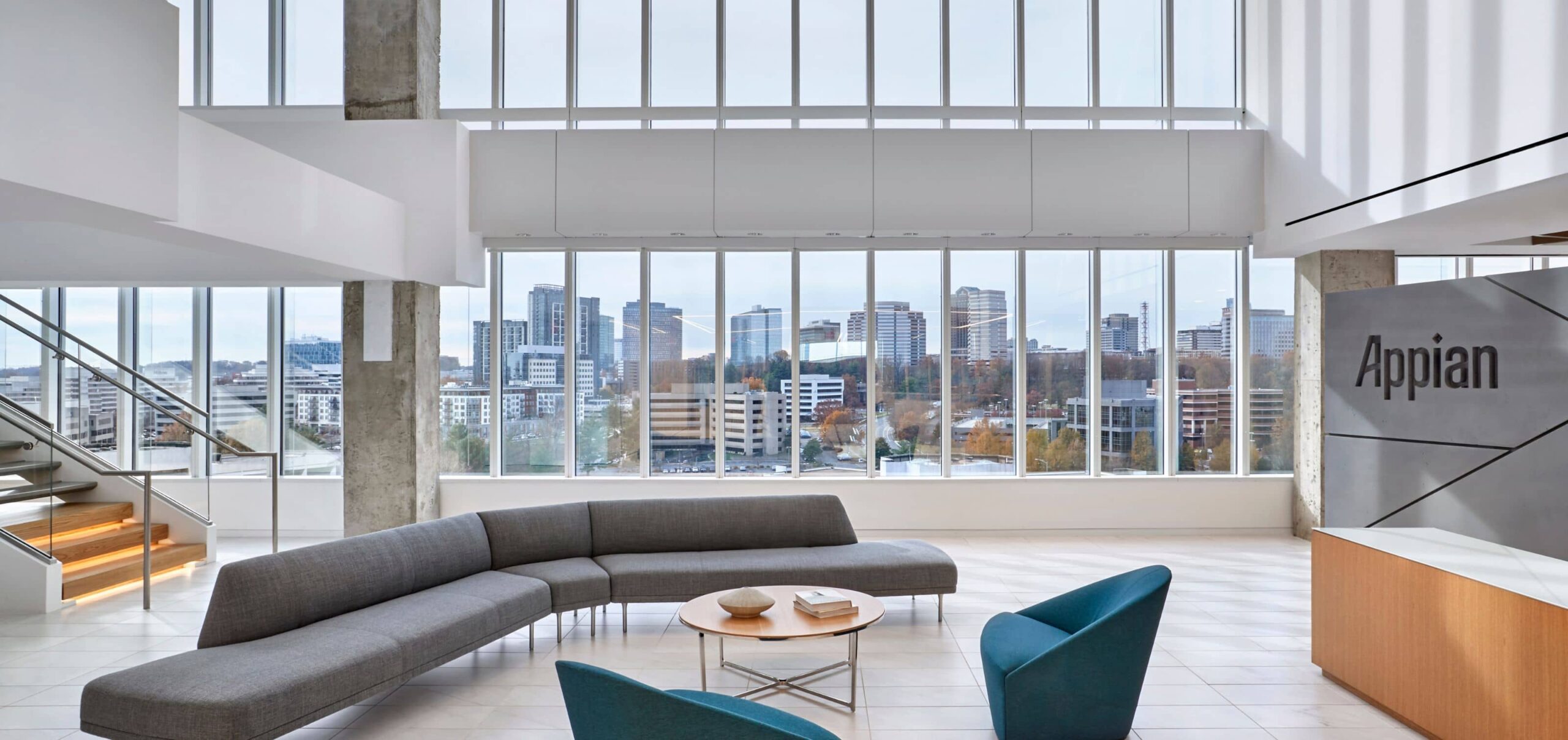 Fletcher Consulting Project Appian Main Reception and Guest Lounge Overlooking Tysons Skyline