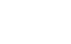 Fletcher Sector Partner AIA logo